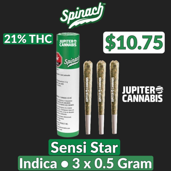 Spinach Sensi Star 3 Pack