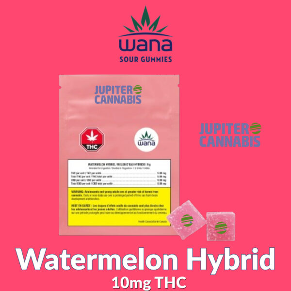 Wana Watermelon Hybrid Gummies