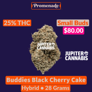 Promenade Buddies Black Cherry Cake Ounce (Small Buds)