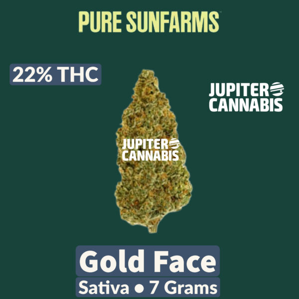 Pure Sunfarms Gold Face 7 Grams