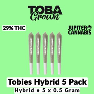 Toba Tobies Hybrid 5 x 0.5g Pre Rolls