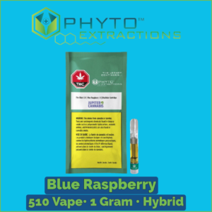 Phyto Blue Raspberry 510vVape