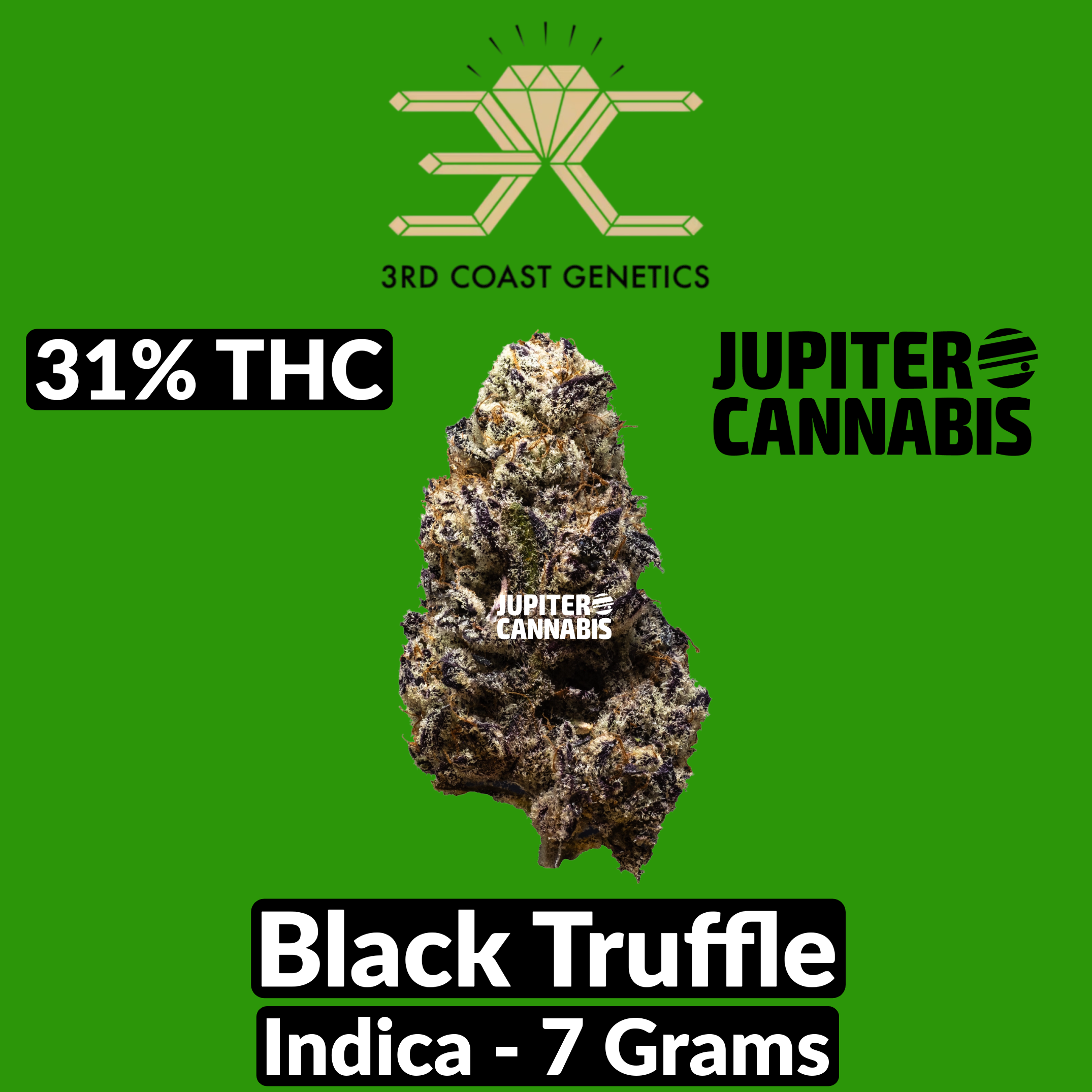 3rd Coast Genetics Black Truffle 7g