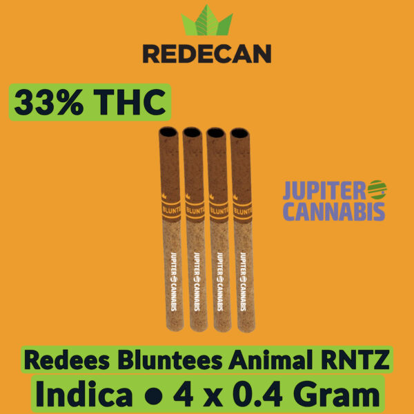 Redees Bluntees Animal RNTZ 4 Pack