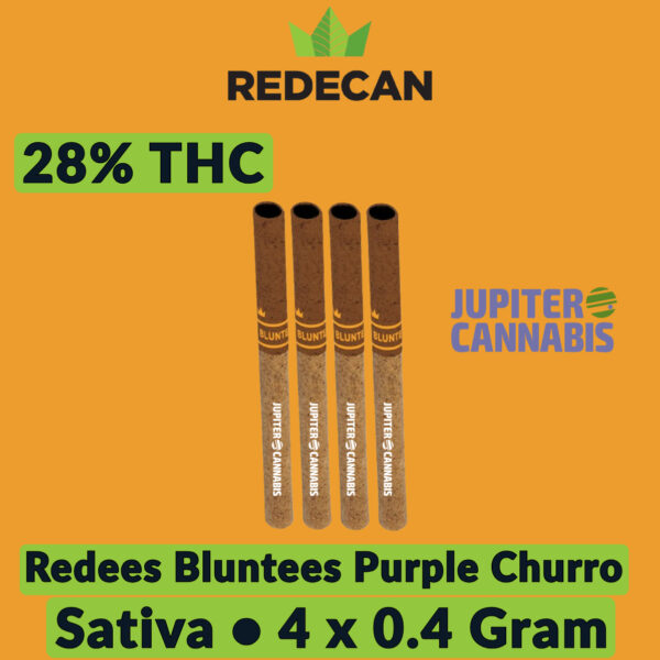 Redees Bluntees Purple Churro 4 Pack