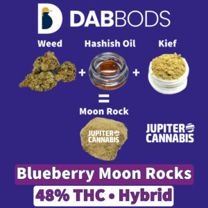 Dab Bods Blueberry Moon Rocks