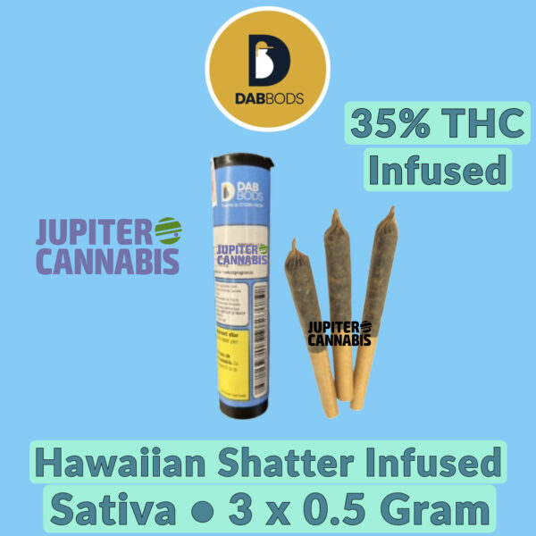 Dab Bods Hawaiian Shatter Infused Pre Rolls