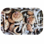 Pulsar 11" x 7" Metal Rolling Tray - Mushroom Caps