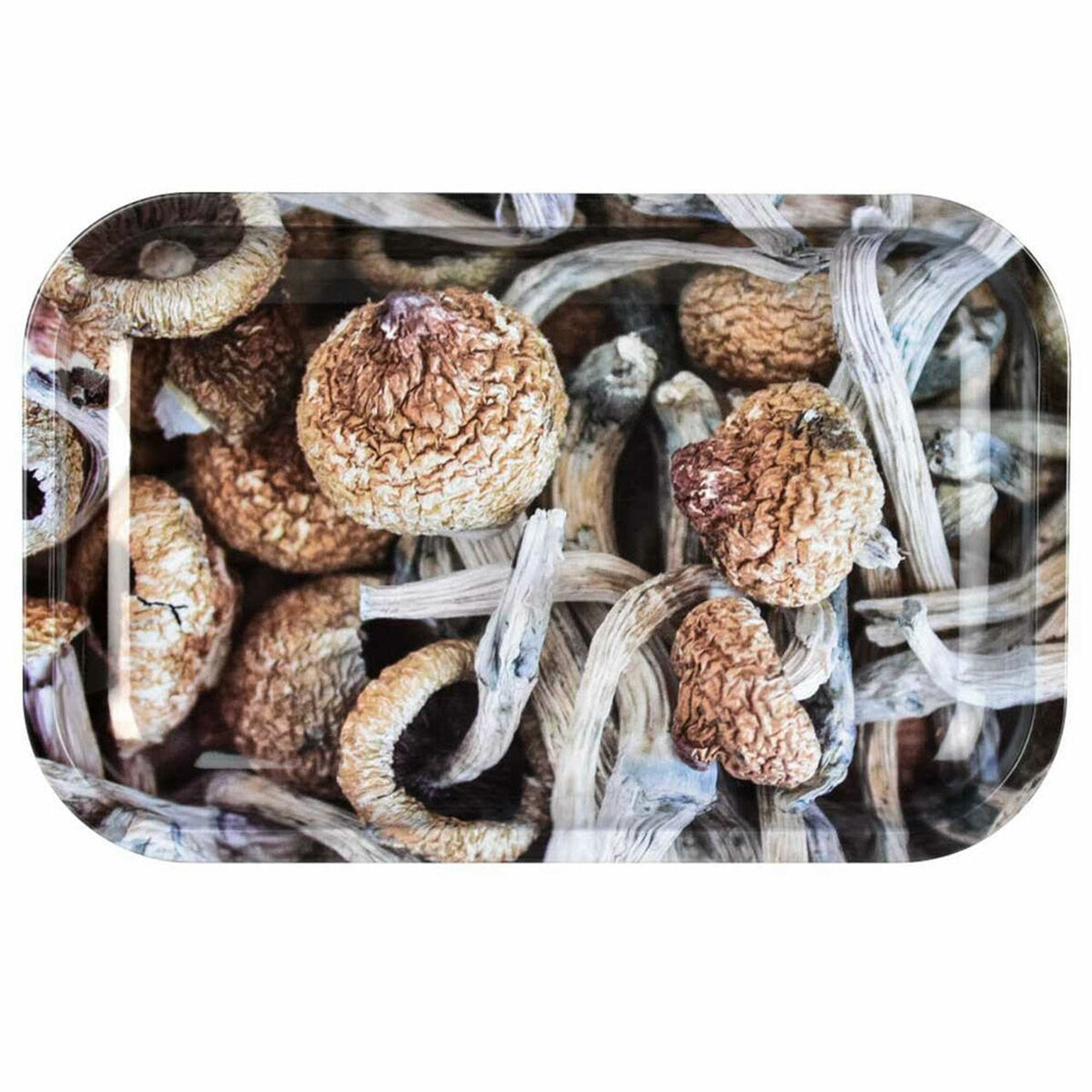 Pulsar 11" x 7" Metal Rolling Tray - Mushroom Caps