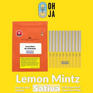 Ohja Lemon Mintz 10 Pack