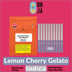 Ohja Lemon Cherry Gelato 10 Pack