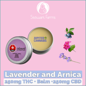Rebound by Stewart Farms Lavender and Arnica Balm