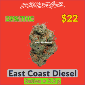 Snicklefritz East Coast Diesel