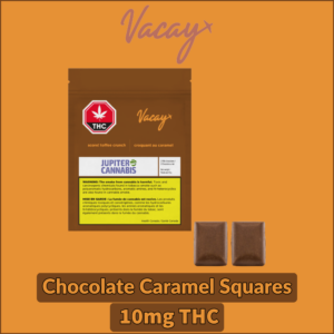 Vacay Chocolate Caramel Squares