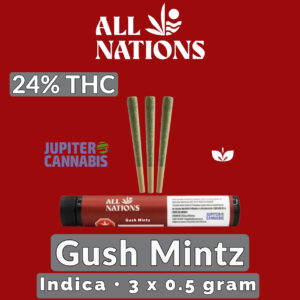 All Nations Gush Mintz 3 Pack