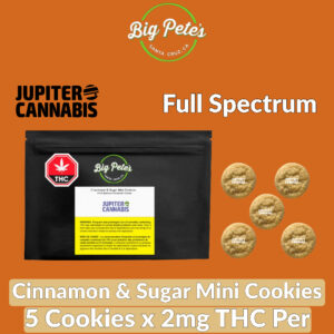Big Pete's Treats Cinnamon & Sugar Mini Cookies