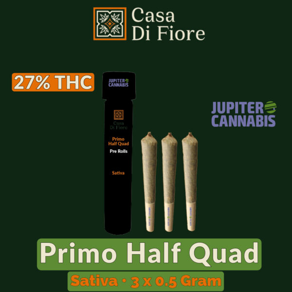 Casa Di Fiore Primo 3 Pack