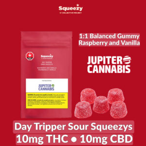 Collective Project Day Tripper Sour Squeezys