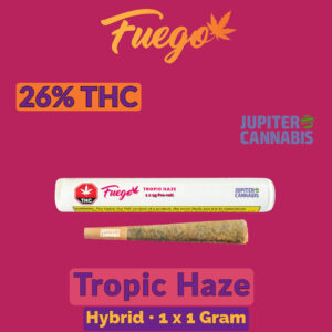 Fuego Tropic Haze Joint