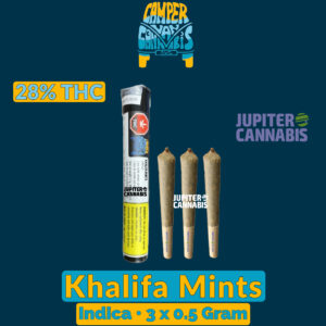 Camper Van Khalifa Mints 3 Pack