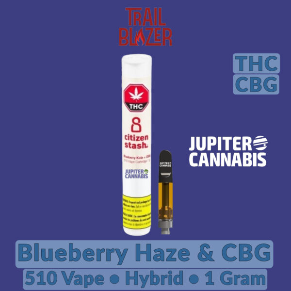 Citizen Stash Blueberry Haze & CBG Vape