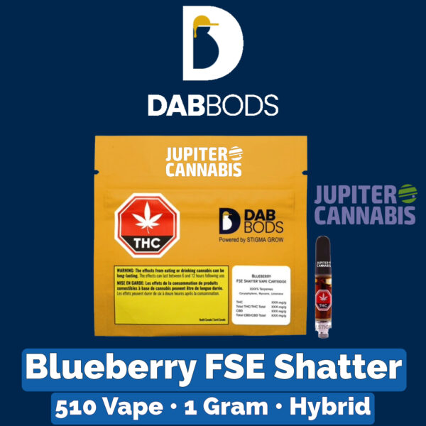 Dab Bods Blueberry FSE Shatter Vape