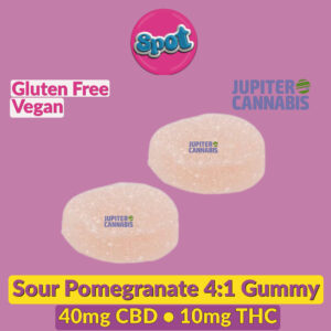 Spot Sour Pomegranate CBD:THC Gummies