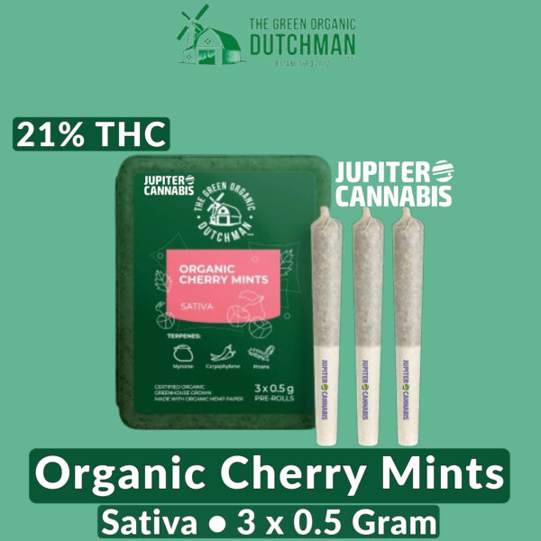 TGOD Organic Cherry Mints Pre Rolls