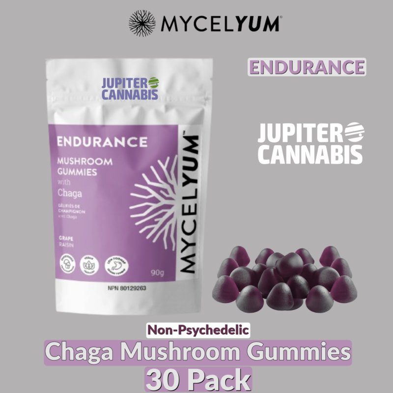 ENDURANCE with Chaga Mushroom Gummies - Jupiter Cannabis Winnipeg