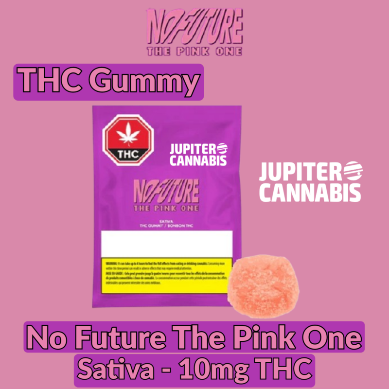 No Future No Future The Pink One Sativa - Jupiter Cannabis Winnipeg