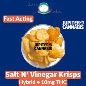 AstroNutz Salt N' Vinegar Krisps