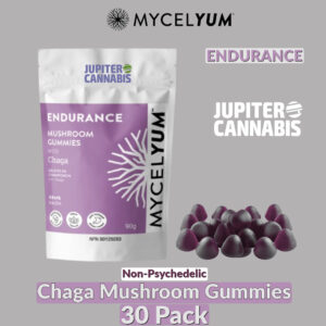 ENDURANCE with Chaga Mushroom Gummies