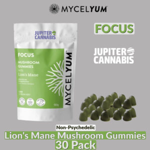 FOCUS with Lion's Mane Mushroom Gummies