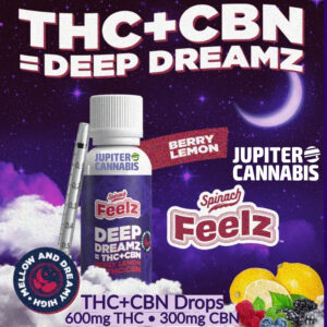 Feelz Deep Dreamz 2:1 THC:CBN Drops