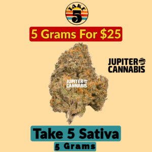 Take 5 Sativa 5 g