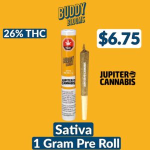 Buddy Blooms Sativa 1g Pre-Roll