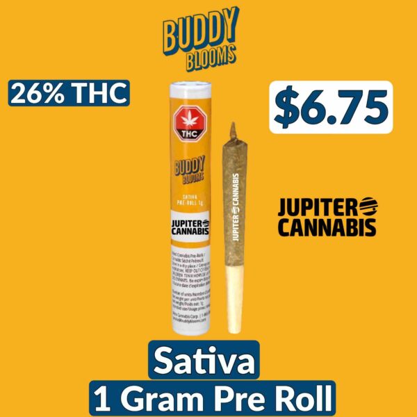 Buddy Blooms Sativa 1g Pre-Roll