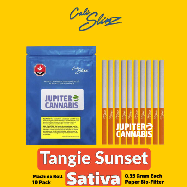 Cali Slimz Tangie Sunset 10 Pack