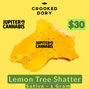 Crooked Dory Sativa Shatter 1g