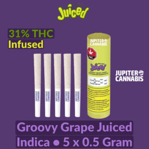 Good Supply Juiced Groovy Grape Infused 5 Pack