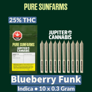 Pure Sunfarms Blueberry Funk 10 Pack