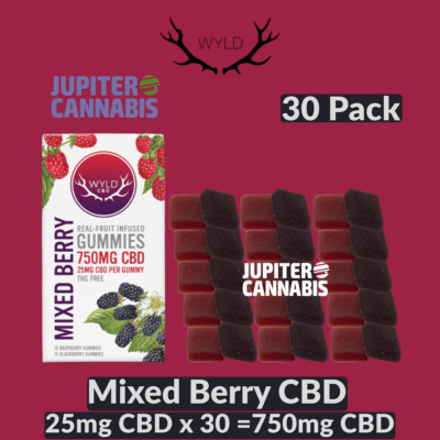 Wyld Wyld Mixed Berry CBD 30 Pack Gummies - Jupiter Cannabis Winnipeg