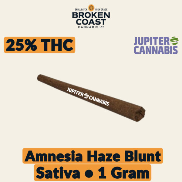 Broken Coast Amnesia Haze 1g Blunt