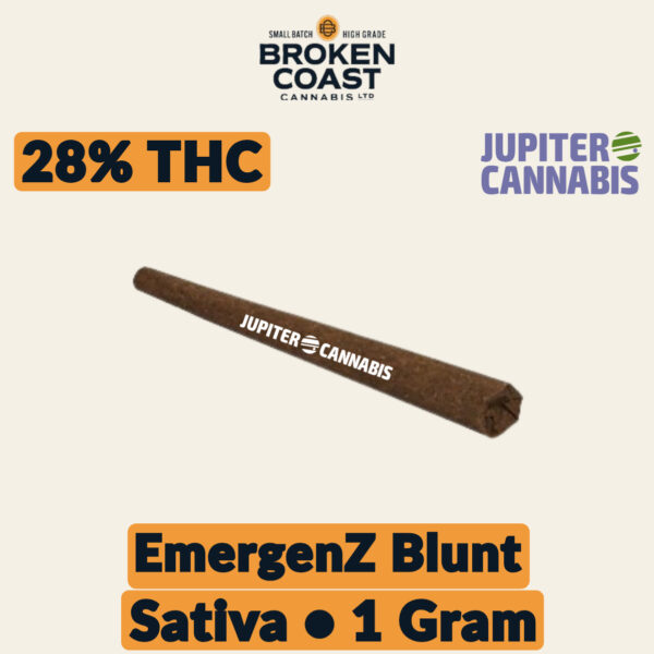 Broken Coast EmergenZ Blunt 1g