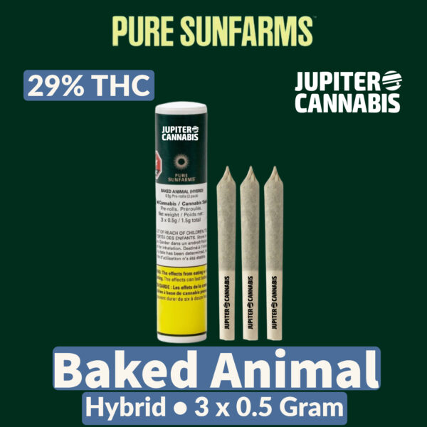 Pure Sunfarms Baked Animal 3 Pack