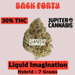 Back Forty Liquid Imagination 7 gram