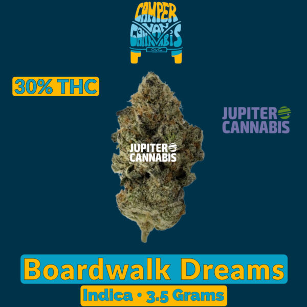 Camper Van Boardwalk Dreams 3.5 g