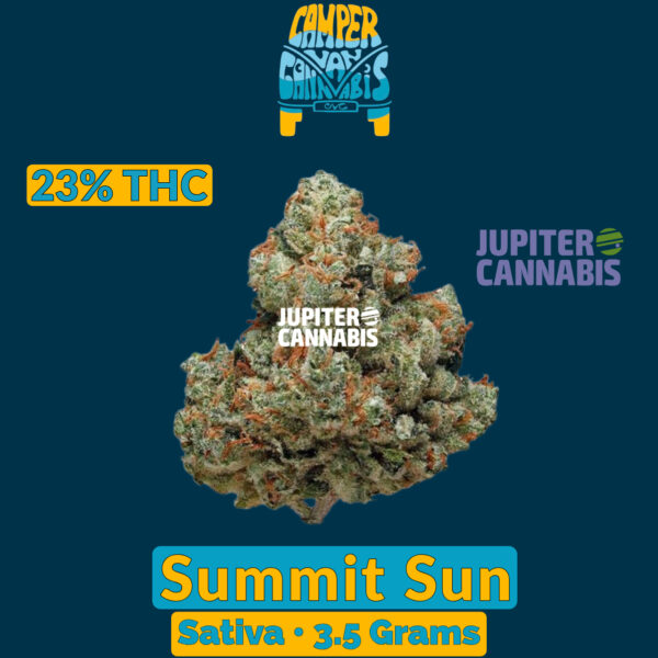 Camper Van Summit Sun 3.5 g