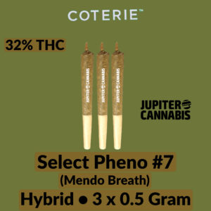 Coterie Select Pheno #7 3 Pack