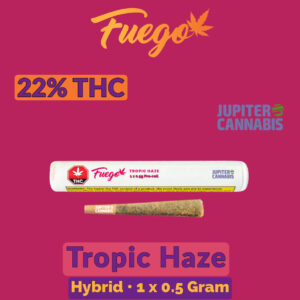 Fuego Tropic Haze Half Gram Joint